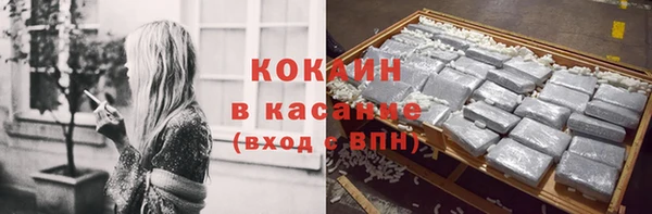 хмурый Нея