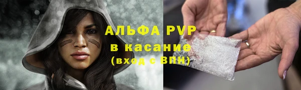 хмурый Нея