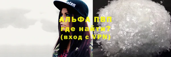 стаф Надым