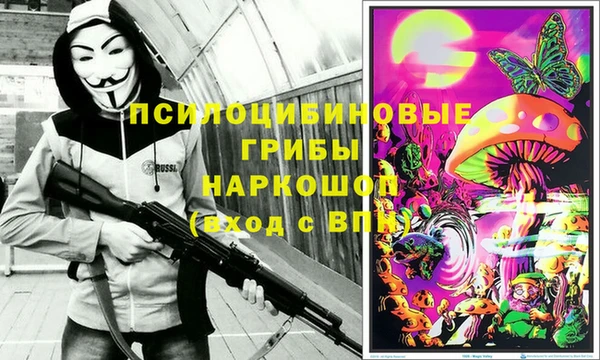 хмурый Нея