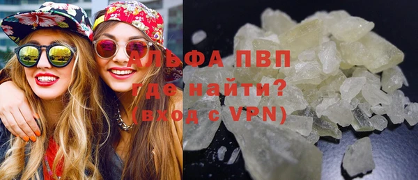 хмурый Нея