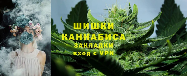 хмурый Нея