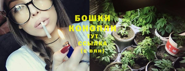 соль ск Нефтегорск