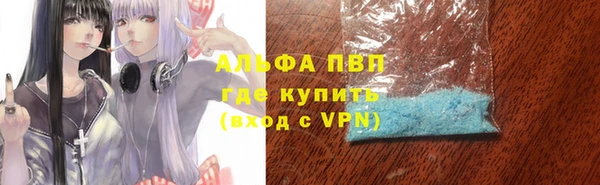 хмурый Нея