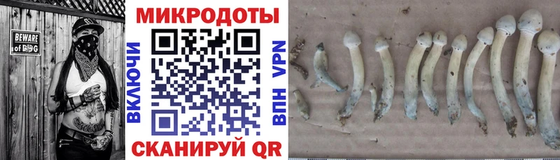 Галлюциногенные грибы ЛСД  площадка телеграм  Краснозаводск  закладки 